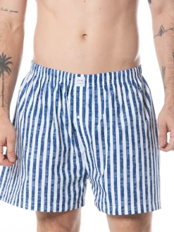 Boxer Basic