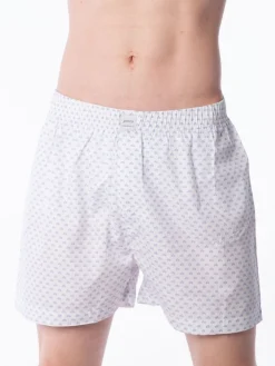 Boxer Basic