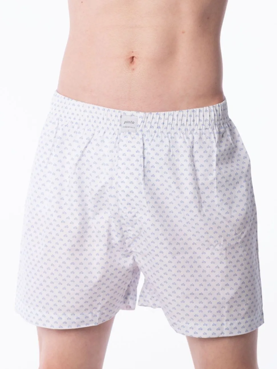 Boxer Basic