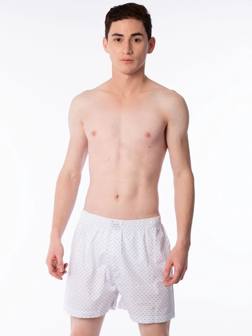 Boxer Basic