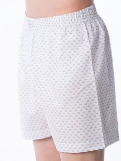 Boxer Basic