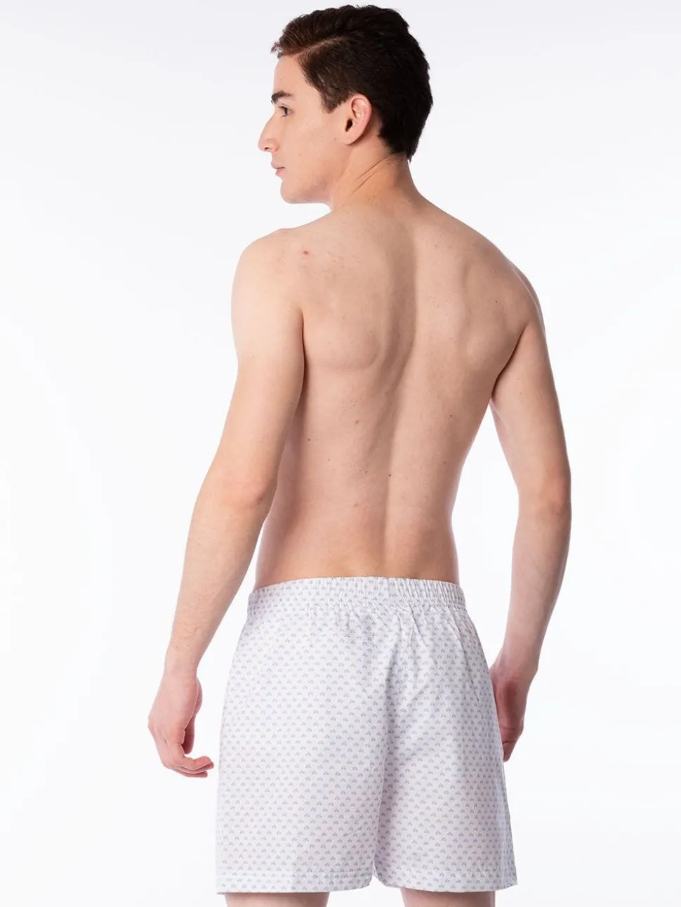 Boxer Basic