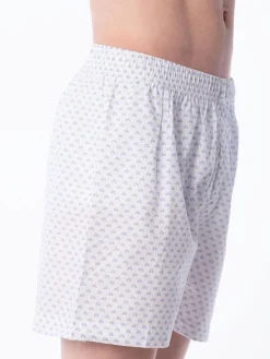 Boxer Basic