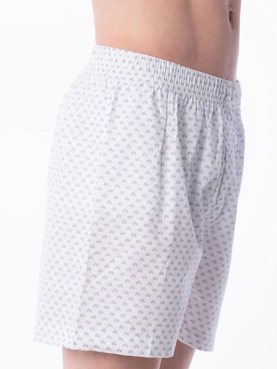 Boxer Basic