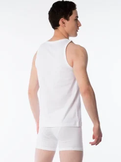 Bvd Basic
