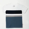 Camiseta Manga Corta Regular Bloque Kids