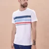 Camiseta Manga Corta Todd