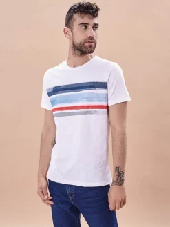 Camiseta Manga Corta Todd