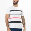 Manga Corta Regular Print