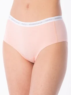 Panty Cachetero